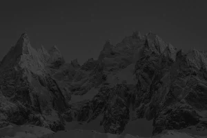 [ Why Choose a White-Label Solution for Your Brand’s Growth?